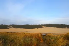 Sand-Dunes