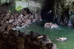 The_Sea_Lion_Caves